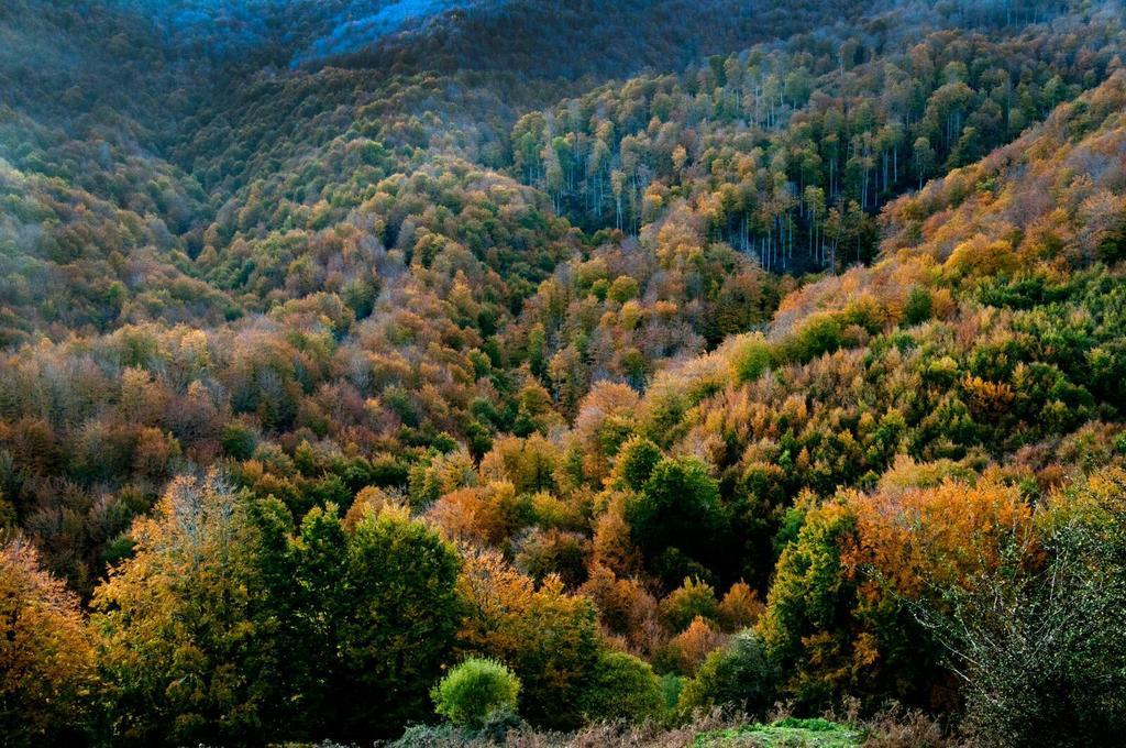 Casa Rural Lenco Zilbeti Exteriér fotografie