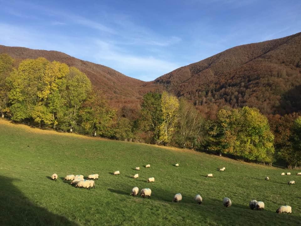 Penzion Casa Rural Lenco Zilbeti Exteriér fotografie